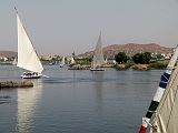 Assouan Ile Elephantine 0710
